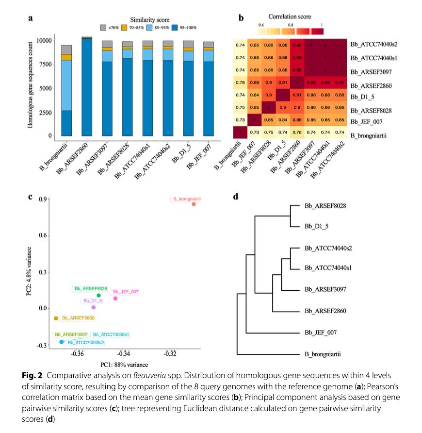 CompàreGenome: a command-line tool for genomic diversity estimation in prokaryotes and eukaryotes bmcbioinformatics.biomedcentral.com/articles/10.11… 🧬🖥️🧪 #Rstats github.com/gmoro-bioecope…
