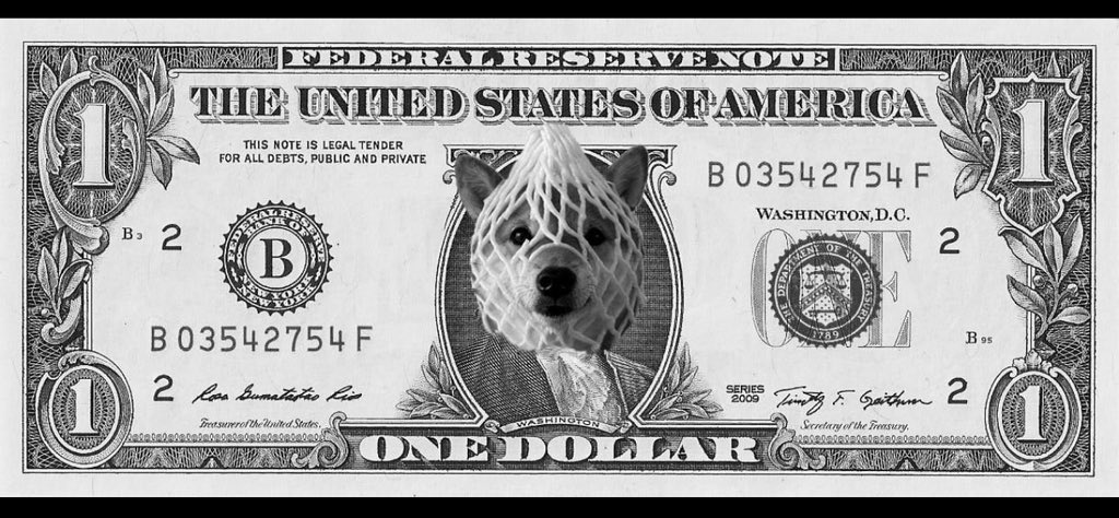 ash_quila67's tweet photo. Solana is a big chain that will go above $300.

$wDOG 

Wrapped dog is the bitcoin of meme coin 
How much bitcoin can you own ?
Ask your self how much $wDOG 
Can you own with 1 Sol 
Just do the math everything is going up is just matter of time. https://t.co/weDSZxQ4pJ