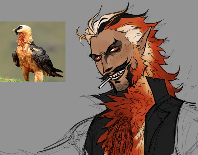 most villain looking birdTaking pre-offers for this one, Min. is $500 (will be a fully finished artwork! and potential for more art and variants) 