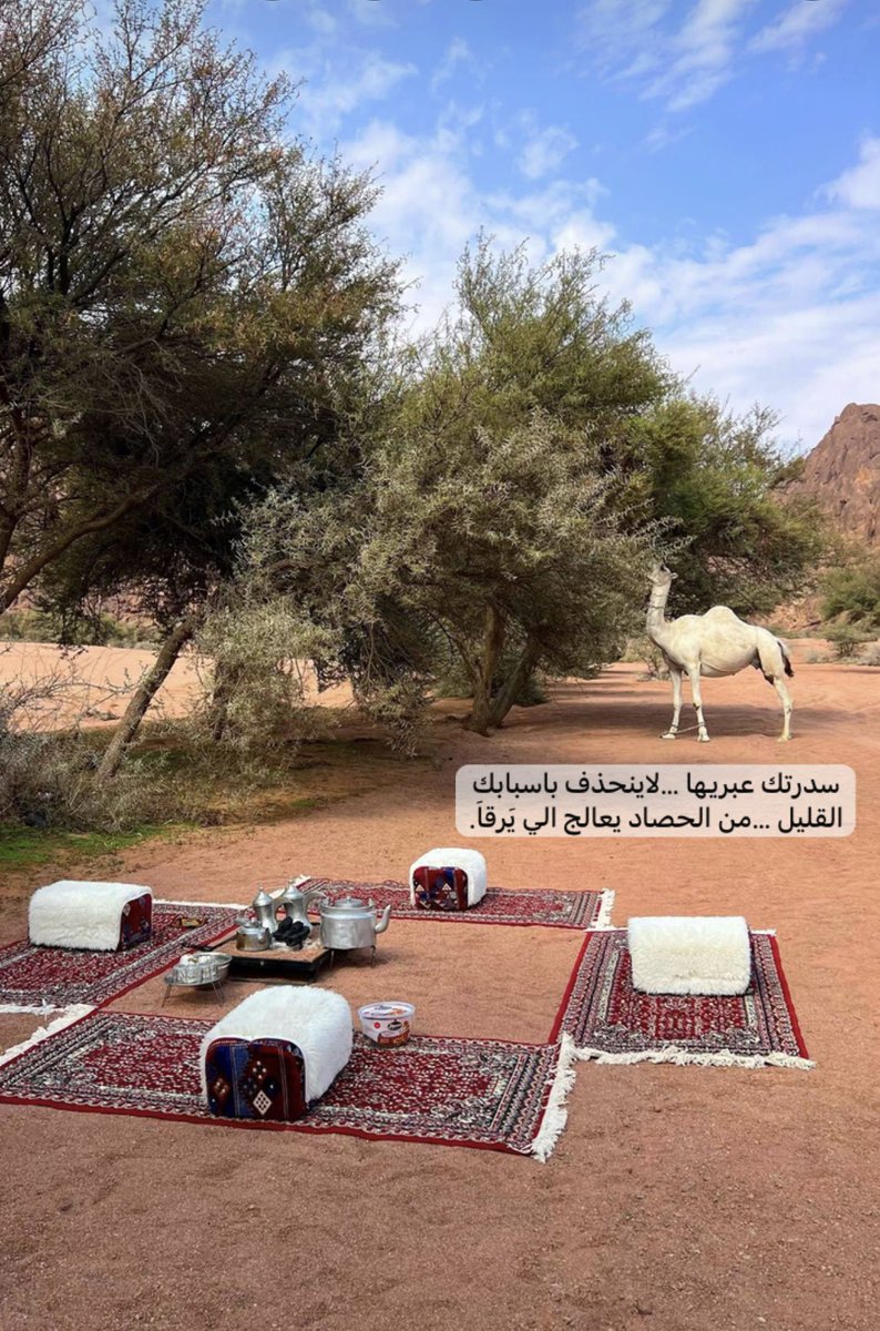 سلطان المطيري (@sm_2017) on Twitter photo 