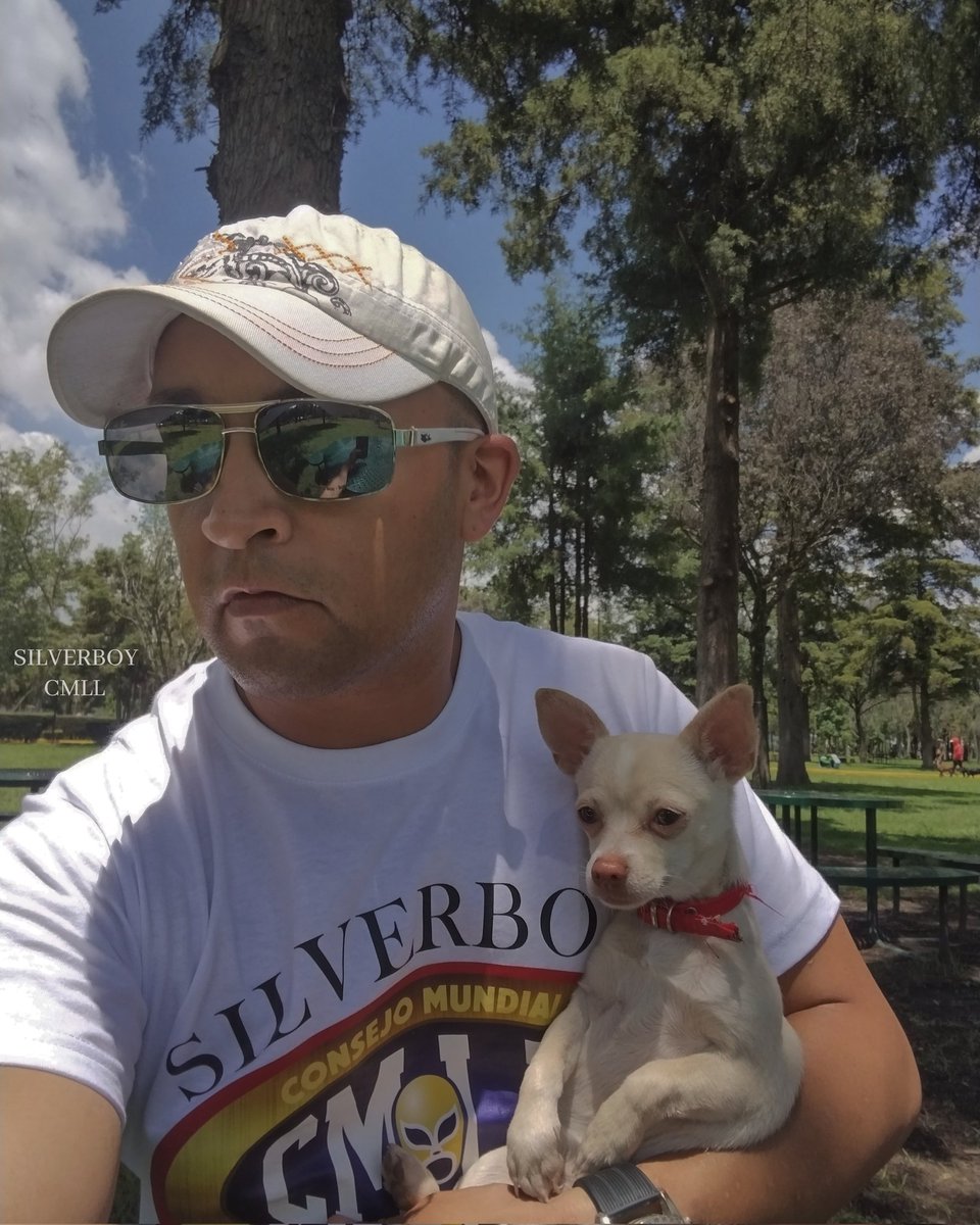 SilverboyCmll_'s tweet photo. @GRamirezF_D @Petunia45324719 ✨Lunita 🐶 #Chihuahua #Pet #LittleFriend #ILoveYou 💕✝️🛐 Always In My Heart 💜 #SilverboyCmll 💯🎊🎉🎈 https://t.co/0uNvrAXV8S