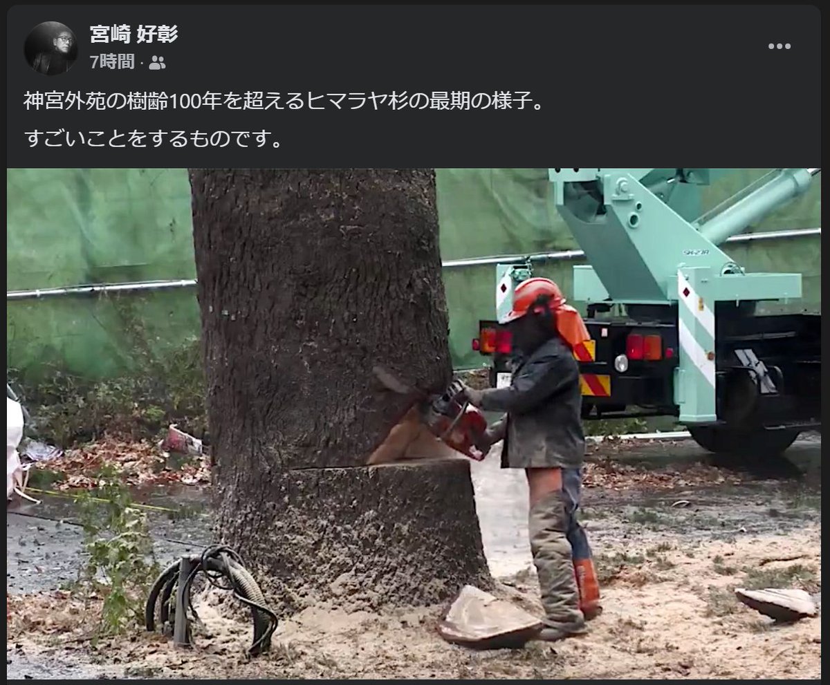 mori_arch_econo's tweet photo. ホントに酷い。

神宮外苑の樹齢100年を超えるヒマラヤ杉の最期の様子。
すごいことをするものです。 https://t.co/isK8hu9IiZ