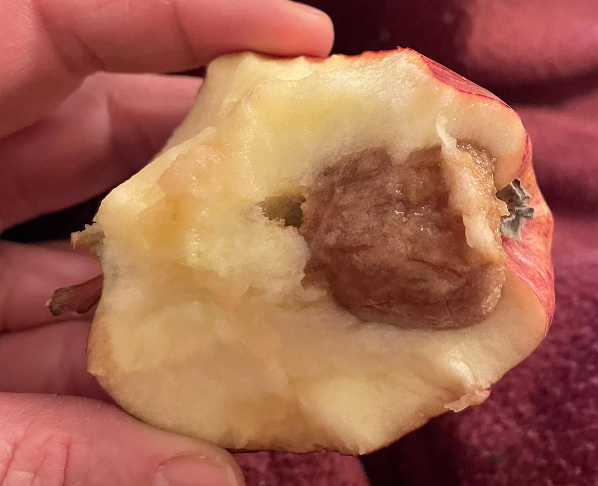 Eww <a href="/asda/">Asda</a> I never expected to get a free apple INSIDE my apple .