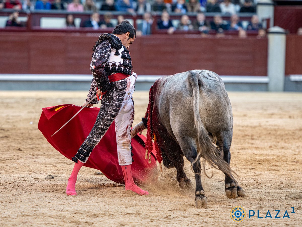 Domingo 18 de mayo

La Quinta

Uceda Leal
Daniel Luque
Emilio de Justo

Otro de los carteles TOP de este San Isidro 2025