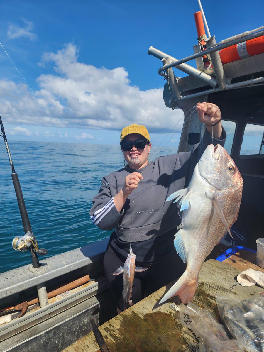 Shane Jones tweet media