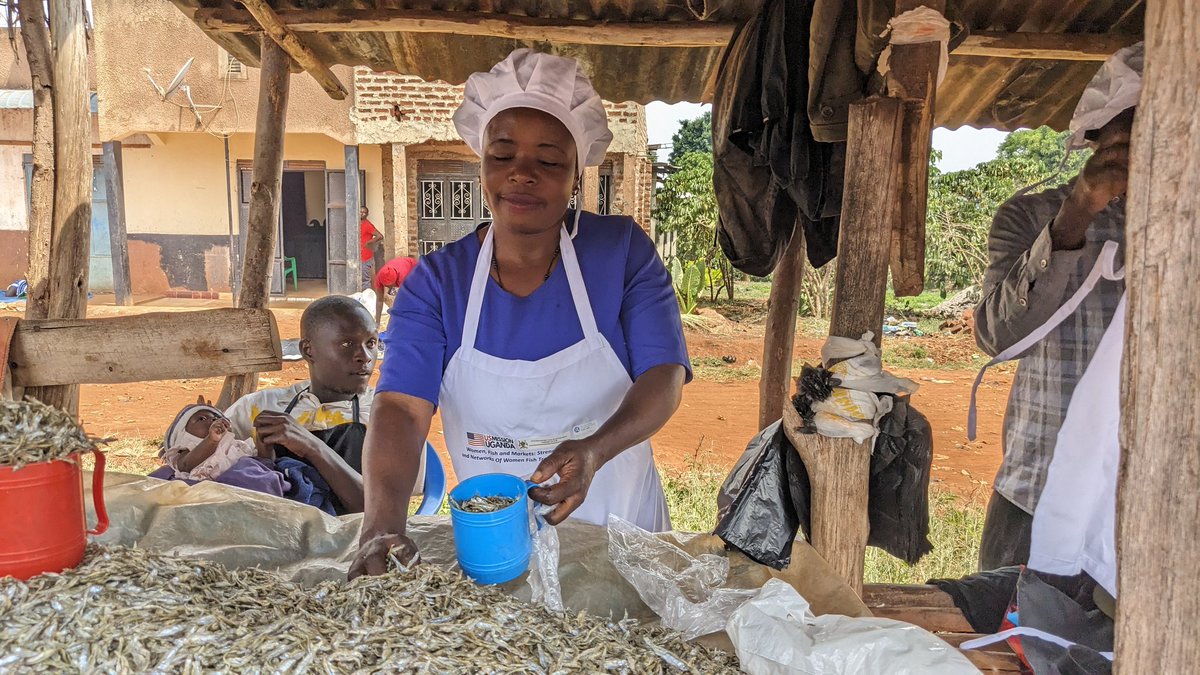 WOFIMA_project's tweet photo. Participants were encouraged  to adopt sustainable practices in fish sourcing and marketing. The initiative supports  SDG 2 (Zero Hunger) and  SDG 5 (Gender Equality) by addressing malnutrition and promoting women's economic empowerment
2/3 https://t.co/s8t9ai58Y1
