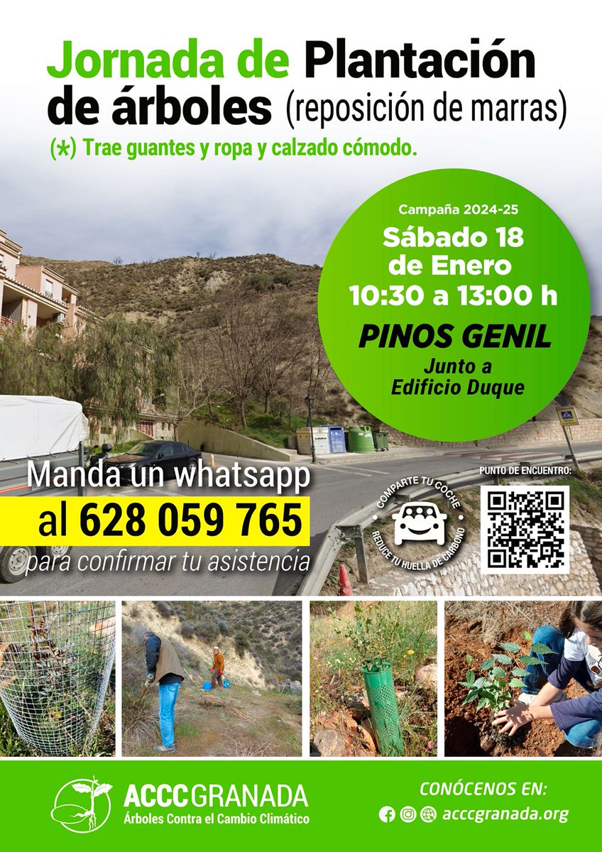 🌲🌲Árboles Contra el Cambio Climático Granada🌳🌳 (@acccgranada0) on Twitter photo 