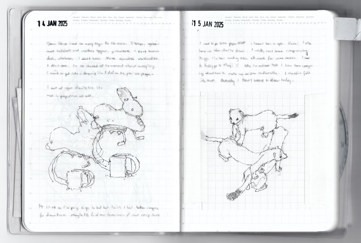 weird past 2 days for daily drawings . very busy but have kept it up. playground bunnies and my plastic ermine 2025.01.14–15