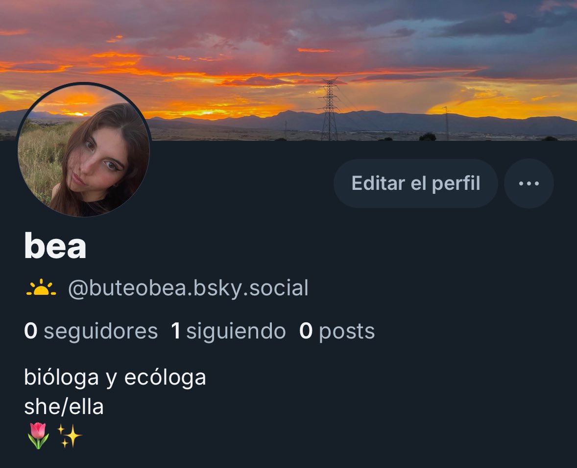 bea tweet media