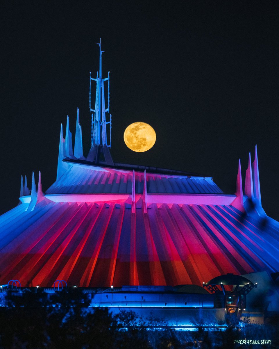 Somewareatdisney tweet media