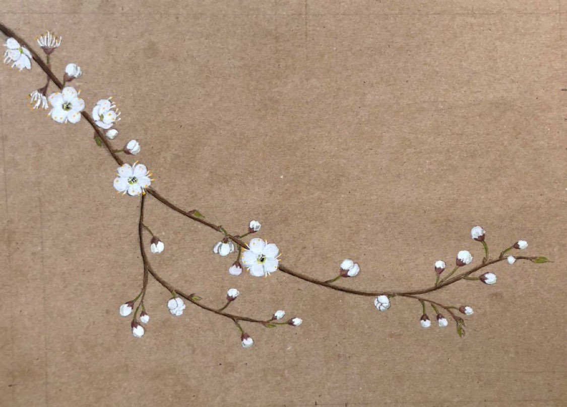 In around 4 weeks’ time the first blossom will appear in the hedgerows. Cherry plum flowers (Prunus cerasifera) are delicate &amp; unassuming but that subtle glimmer of white (sometimes pink) is perhaps the most beautiful as it marks the end of winter &amp; the prospect of warmer days.