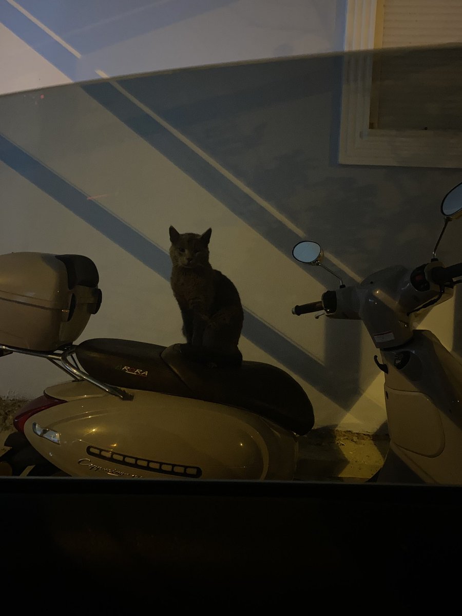 Motorumu koru duman 😇
<a href="/EylemCulculoglu/">Eylem Cülcüloğlu</a>