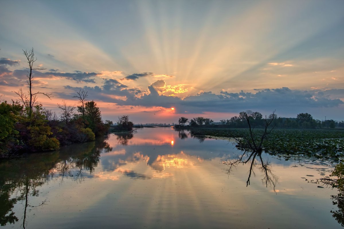 H2Ohio (@h2ohio) on Twitter photo One of Ohio’s most cherished traditions is back! Join us and the <a href="/OhioLakeErie/">Ohio Lake Erie Commission</a> Commission for the annual #LifeonLakeErie photo contest - going on now through the end of July. Snap & submit a pic that captures the beauty and heart of #LakeErie!
More: bit.ly/40gCGSY One of Ohio’s most cherished traditions is back! Join us and the <a href="/OhioLakeErie/">Ohio Lake Erie Commission</a> Commission for the annual #LifeonLakeErie photo contest - going on now through the end of July. Snap & submit a pic that captures the beauty and heart of #LakeErie!
More: bit.ly/40gCGSY