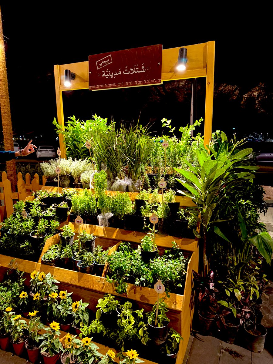 سوق العيون للمنتجات المحلية 

فكرة مبتكرة ورهيبة على طريق العيون #المدينة دعما للمنتجات المحلية مع إطلالة رهيبة على جبل أحد