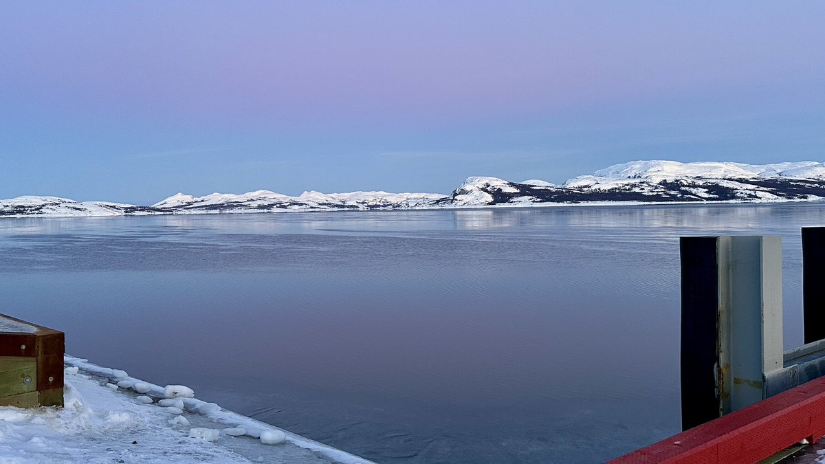 €lsie Russe|| ❄ tweet media