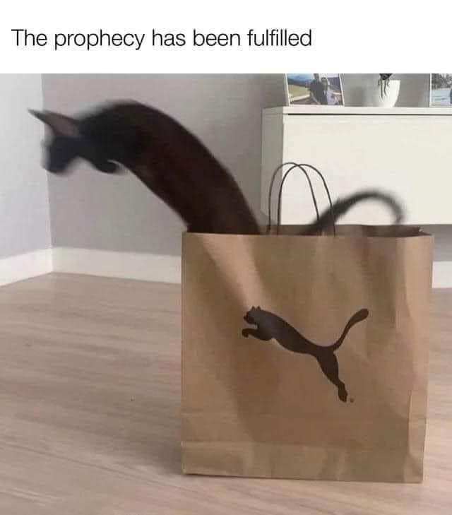 WholesomeMeme's tweet photo. https://t.co/bWT1xPpmZ9