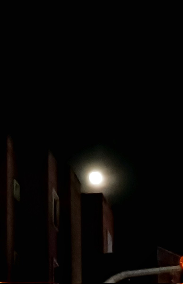 Mia_Moshfeghi's tweet photo. Überwunden ist nun Dunkelheit,
nach langem Weg in Einsamkeit.
Von unberührtem Stege
folget leis und dicht -
des Mondes fahles Licht,
zum Ende aller Wege.
#Empyrium #Fortgang #Mond https://t.co/Sm4NU3M9AE