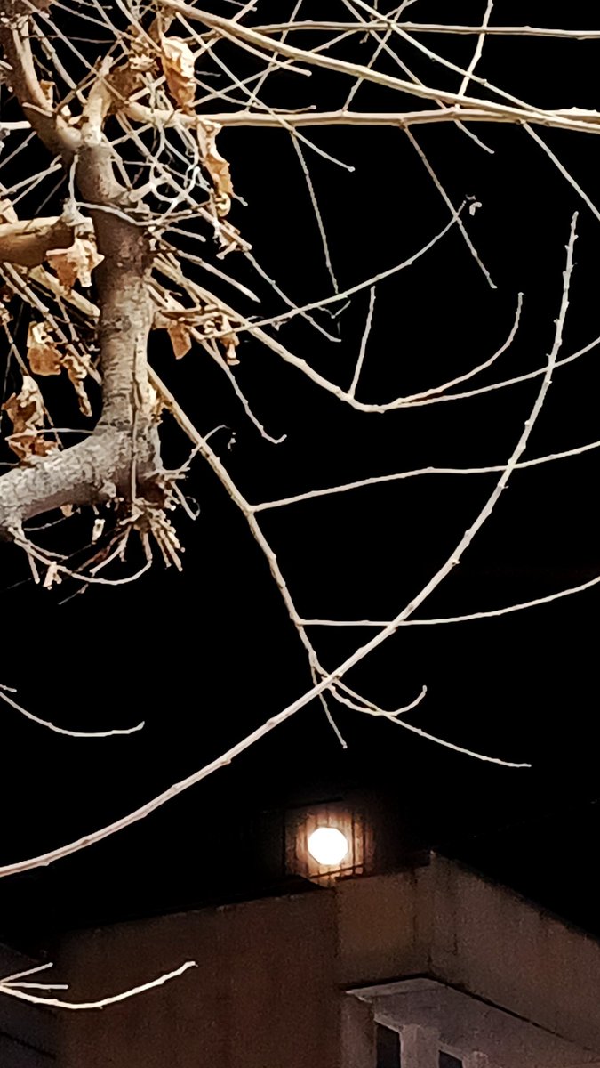 Mia_Moshfeghi's tweet photo. Überwunden ist nun Dunkelheit,
nach langem Weg in Einsamkeit.
Von unberührtem Stege
folget leis und dicht -
des Mondes fahles Licht,
zum Ende aller Wege.
#Empyrium #Fortgang #Mond https://t.co/Sm4NU3M9AE