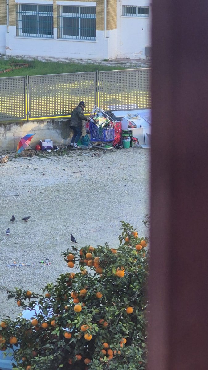 Asomarte a la ventana de tu hogar y ver esto cada dia🤯 asentamiento ilegal, <a href="/somosgrupomas/">Somos Grupo MAS</a> tirando comida en mal estado a cualquier hora del día y termina esparcida por el suelo, descarga molesta por ruidos en lugar peligroso para circulación, hasta cuando hay que seguir así??