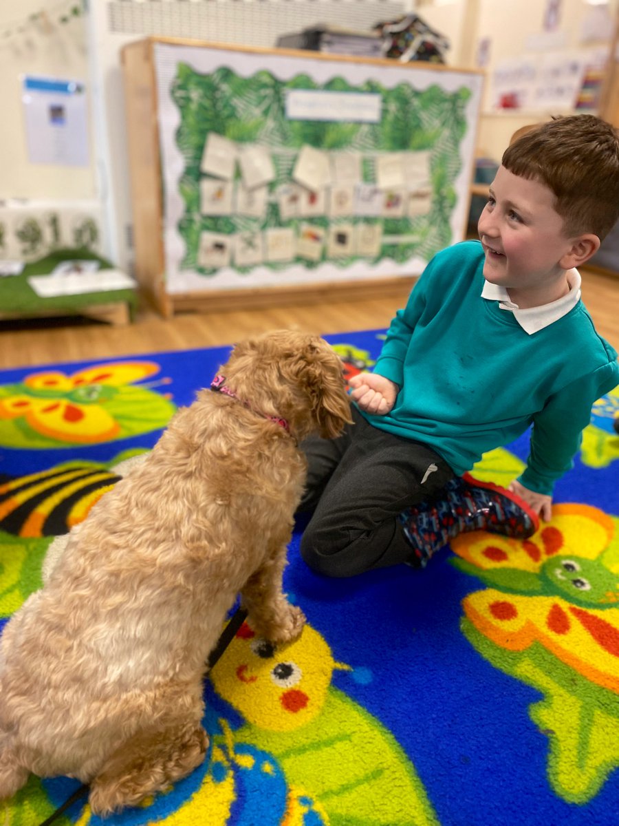 MissKingTindal's tweet photo. 🐫 Reception started their new storybook - Dear Zoo!🦁

🐶 Phoebe came to visit and we thought about what made her the PAWfect school pet for @arktindal 🐾 

🐥🐰 I wonder what pets Reception will ask the zoo for in their letters.. 🐢🐠

#TeamTindal @JTraceyTindal @AHussaintindal https://t.co/pKKJ4nCrfY