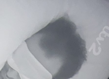 yours sincerely… tweet media