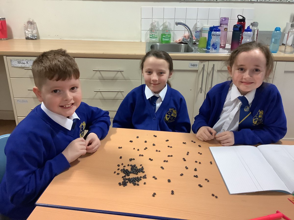 Miss Taylor tweet media