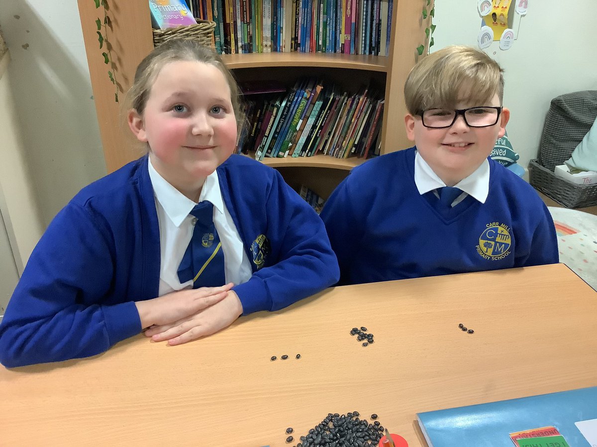 Miss Taylor tweet media