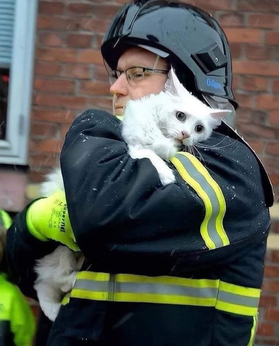 PunchingCat's tweet photo. he’s traumatized :( https://t.co/LTUkWZW5dI