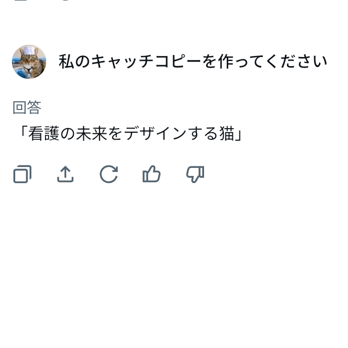 NPの猫 tweet media