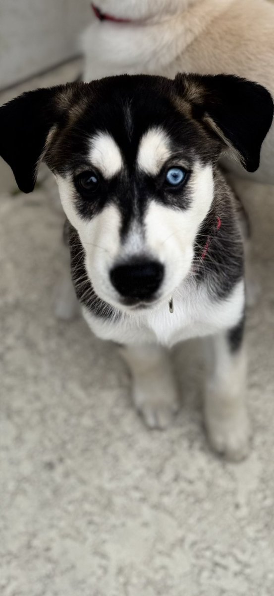 Mick Turater tweet media