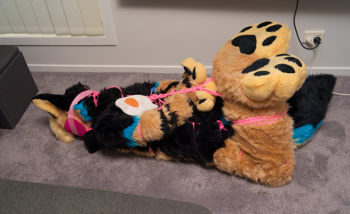 ranger 🐶 tweet media