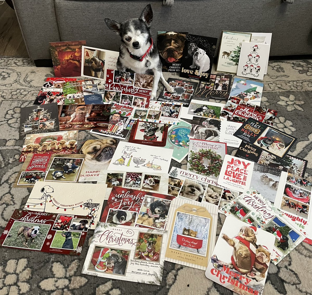 Mail Call 📬 Today Our Mail Box Was Full Of Wonderful Christmas Card.. Thank You My Dear Friends ❤️ Love You All.