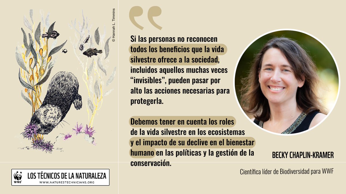 🐋 La pérdida de vida silvestre altera los ecosistemas y perjudica a las personas de maneras que a menudo pasamos por alto. 📢

Una investigación liderada por WWF destaca estos beneficios "invisibles" y la urgencia de protegerlos.

Para más información visita:
