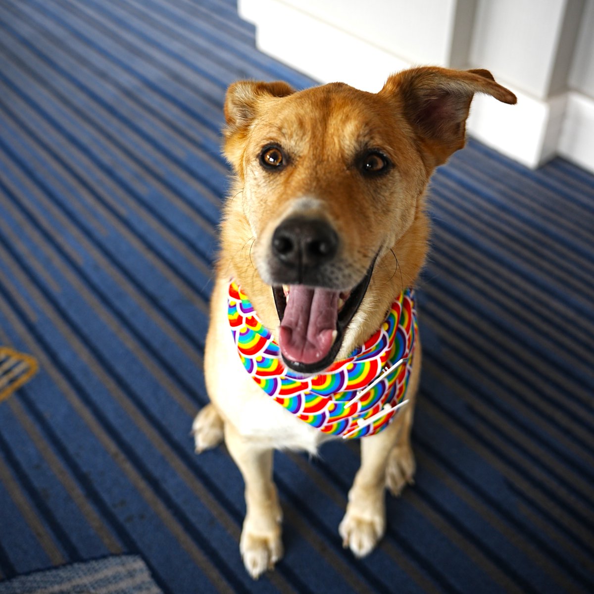 Hilton Meadowvale tweet media