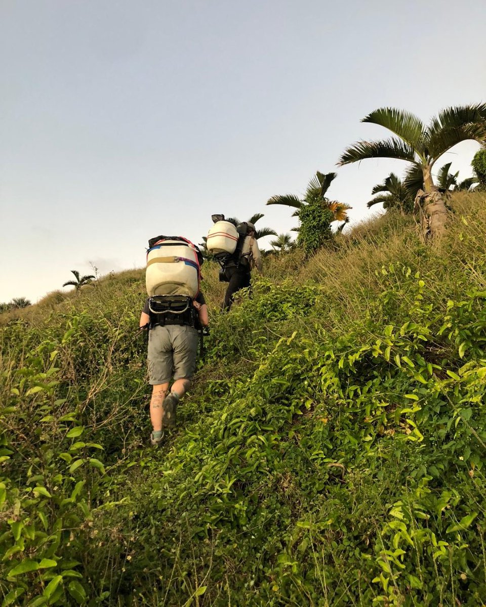Working on a remote island in the Indian Ocean sounds like paradise — but with no running water or reliable cell service, island life comes with some serious highs and lows.⁠
⁠
Check out Rosie's latest blog on our website now 🔗wildlifepreservation.ca/blog/highs-and…

#wildlife #conservation