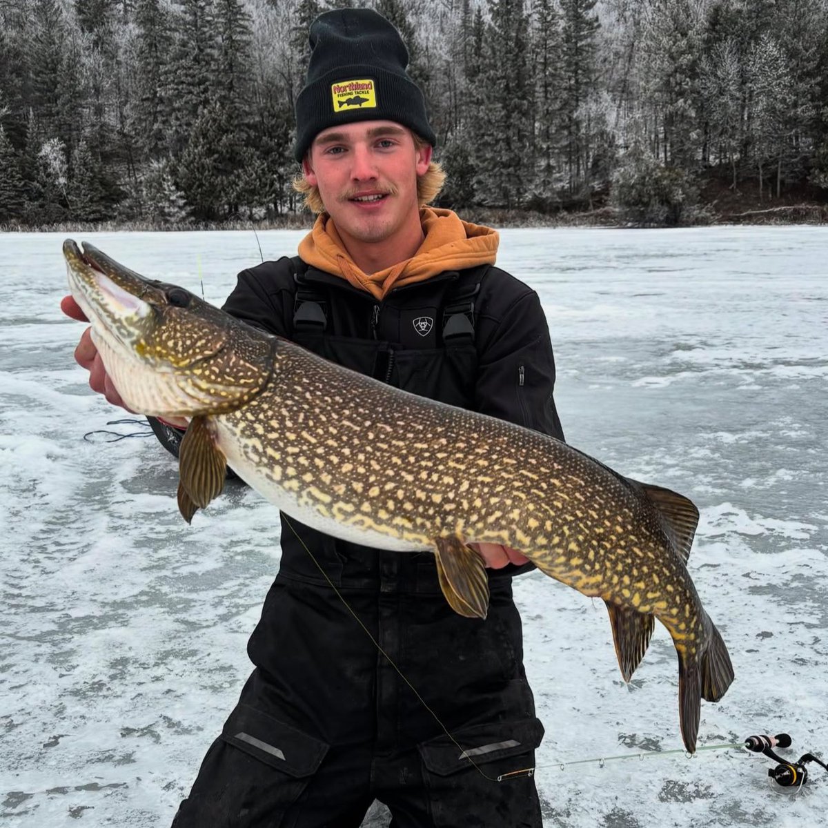 NorthlandTackle's tweet photo. Let's see some of your catches from this ice season! Show 'em off in the comments below! 👌🎣 #ShowEmOffSunday #TeamNorthlandTackle https://t.co/0Y3073Ktv6