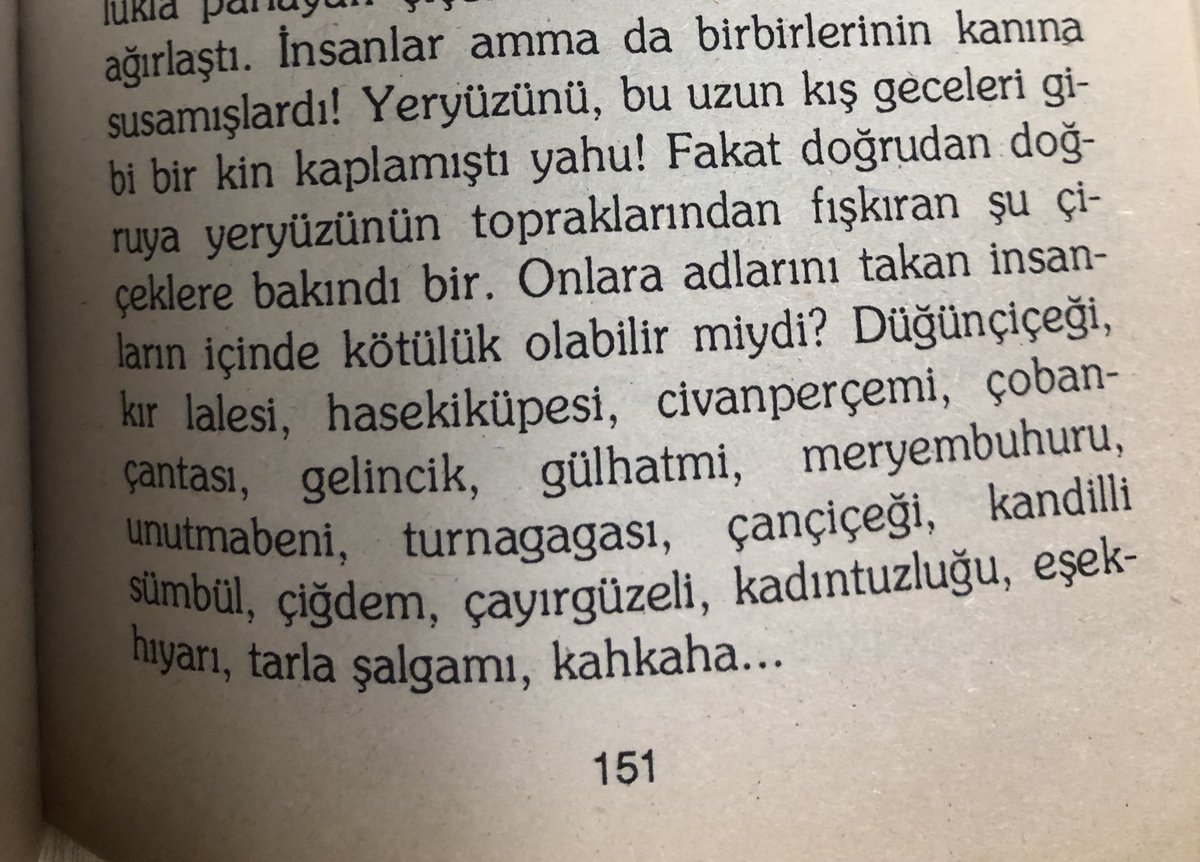 m. (@martnisanmayis) on Twitter photo 