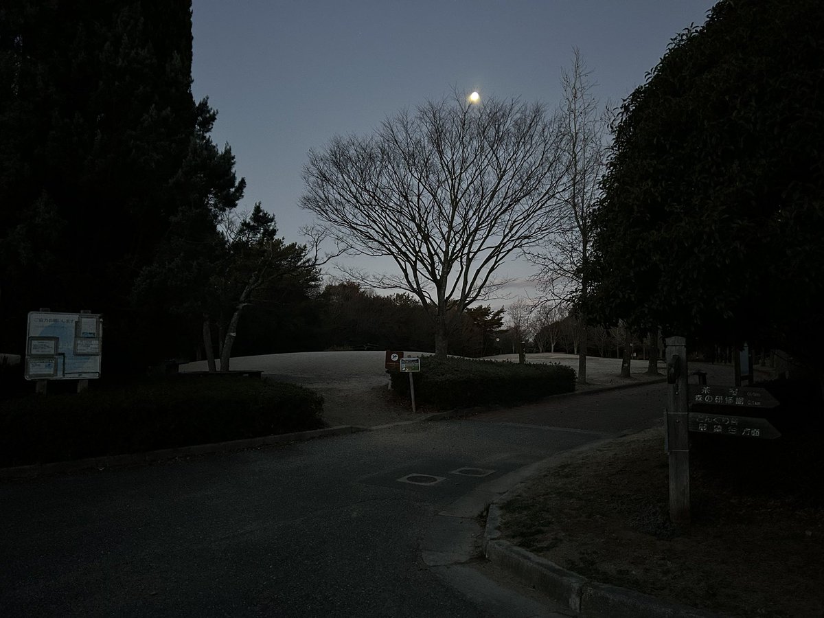 cooperjmkjr's tweet photo. 西の空に月が残る #三木山森林公園 から #おはようございます 
今日は使ってみたい英語表現。
#same_old_same_old
（変わらずです）
 How are you doing?（調子はどう？）
に対する返答。
こんなんさっと言えたら格好ええーと思いません？
#朝活 #ウォーキング #英会話タイムトライアル https://t.co/CDPn70xwnY