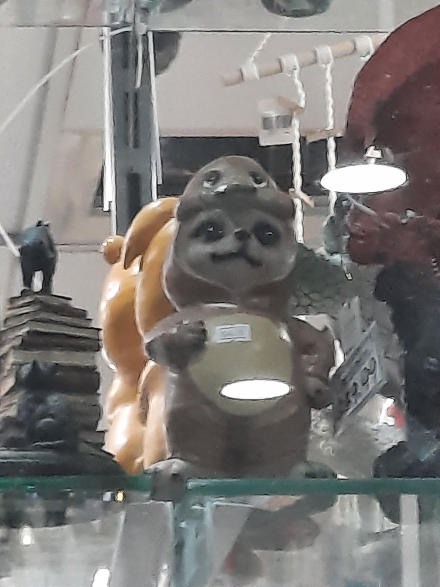KorvyKat's tweet photo. DUCK MEERKAT https://t.co/bdQzGPF8Rr