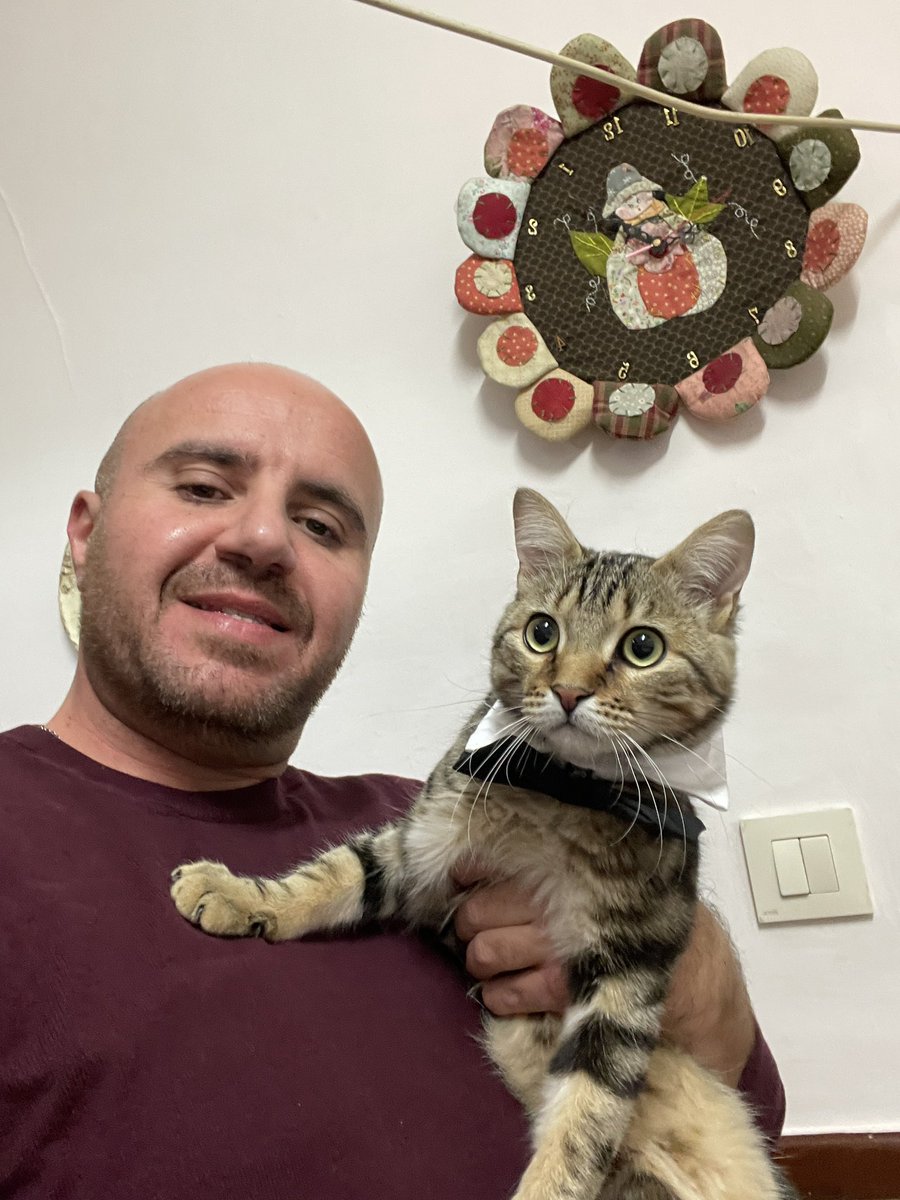 verbo_a's tweet photo. No me digáis que no tengo un gato guapo? #gatos https://t.co/yDkoRfU9vq