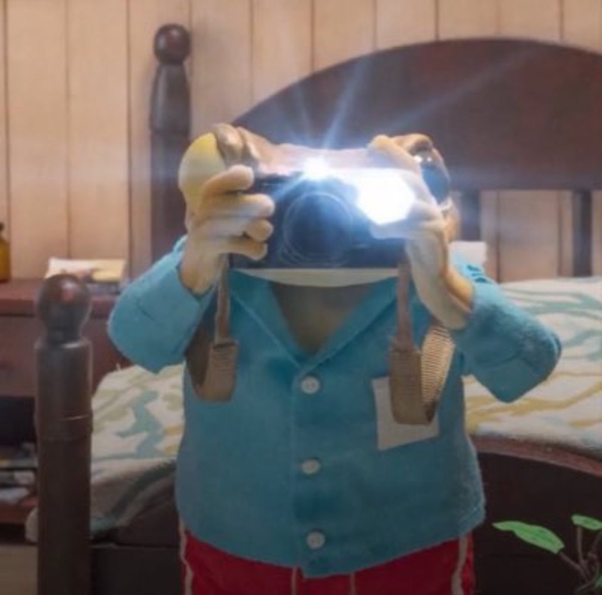 _Shadow36's tweet image. /reversal

$concho