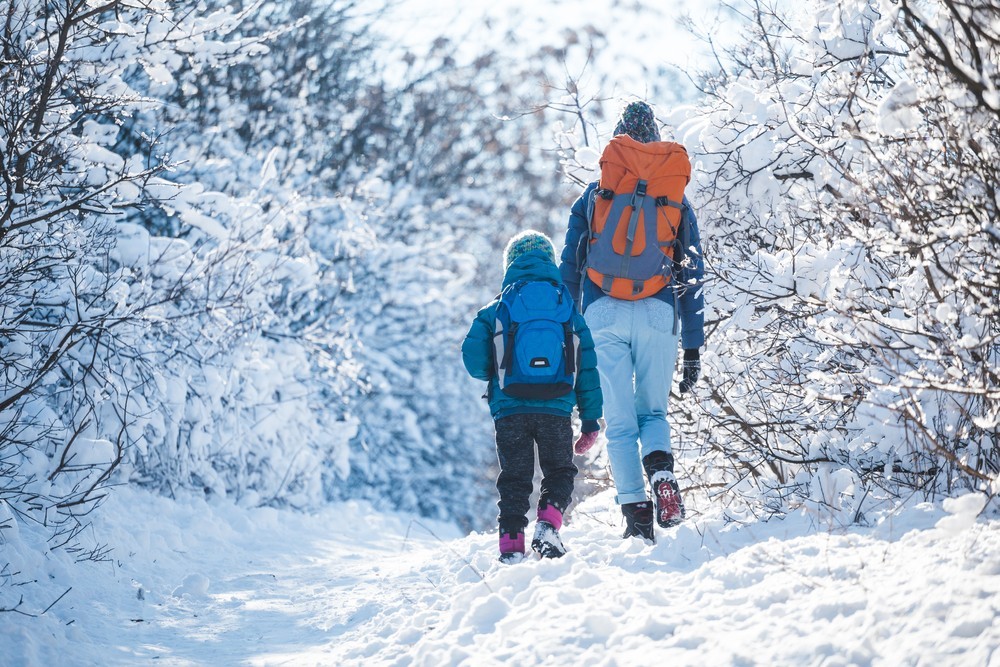 GFallsResort's tweet photo. Hiking is year-round in the Smokies. Summer crowds have departed &amp; winter is great to enjoy the area without the hustle &amp; bustle. If this sounds enticing, check our blog for safety tips, and trail recommendations. Photo © GSMNP: https://t.co/BZvwhhBHAw >> https://t.co/UQM72wCcPh https://t.co/SvK1Vqix2C