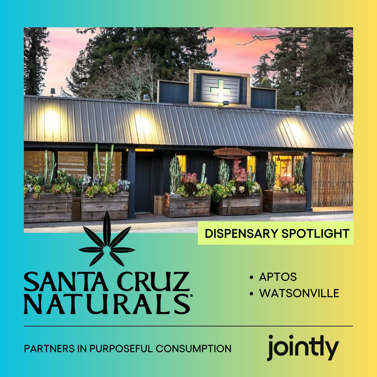 JointlyBetter's tweet photo. Excited to welcome Santa Cruz Naturals to Jointly! 🌿✨ Discover premium products crafted by local growers and artisans, now available on the Jointly app. Support local, shop smarter! 💚
https://t.co/L1UnwZIFBm

@SCNaturals
#CannabisCommunity https://t.co/h07Nxt8Iwt