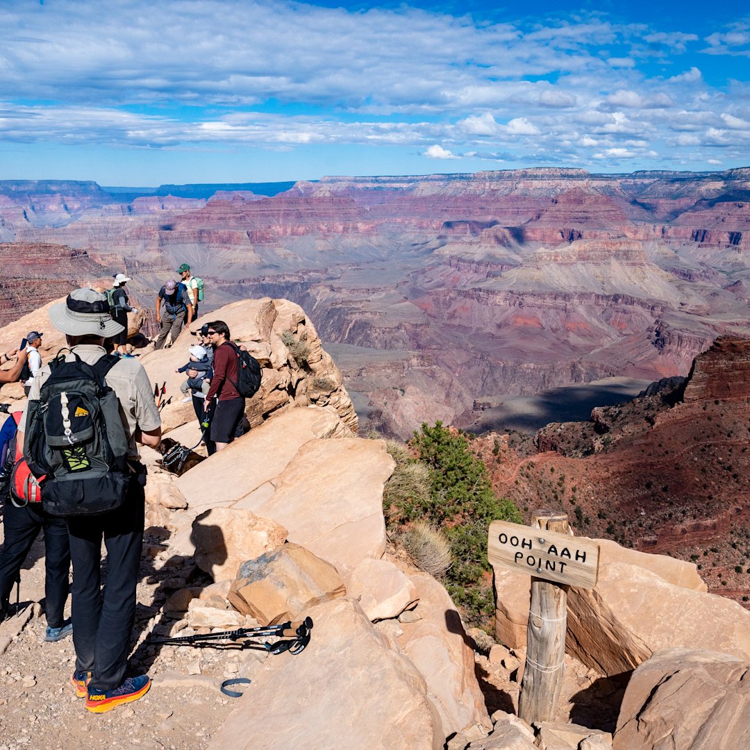 Mount Rushmore tweet media