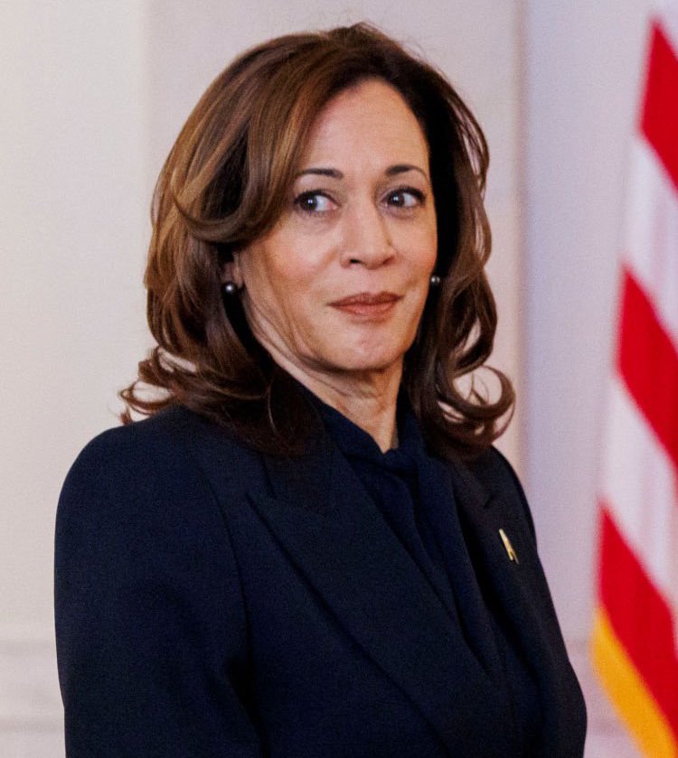 archivekamala's tweet photo. If I send you this picture it means you are being dumb. https://t.co/z8TPbivoTT