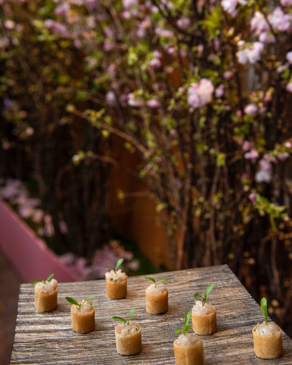 BernardinPrive's tweet image. Hamachi Tartare—fresh canapés for the New Year