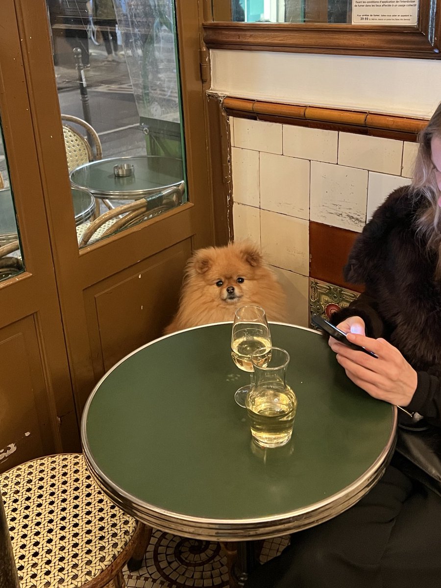 Get a load of this guy