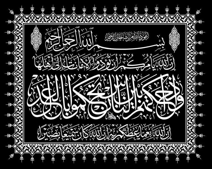 myoushani's tweet photo. https://t.co/7daFsEvDcD