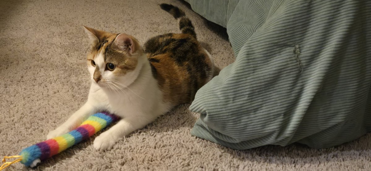 fenixxdraws's tweet photo. @shelbygraces this is my Jazzy:) https://t.co/UrKYQeQoJL