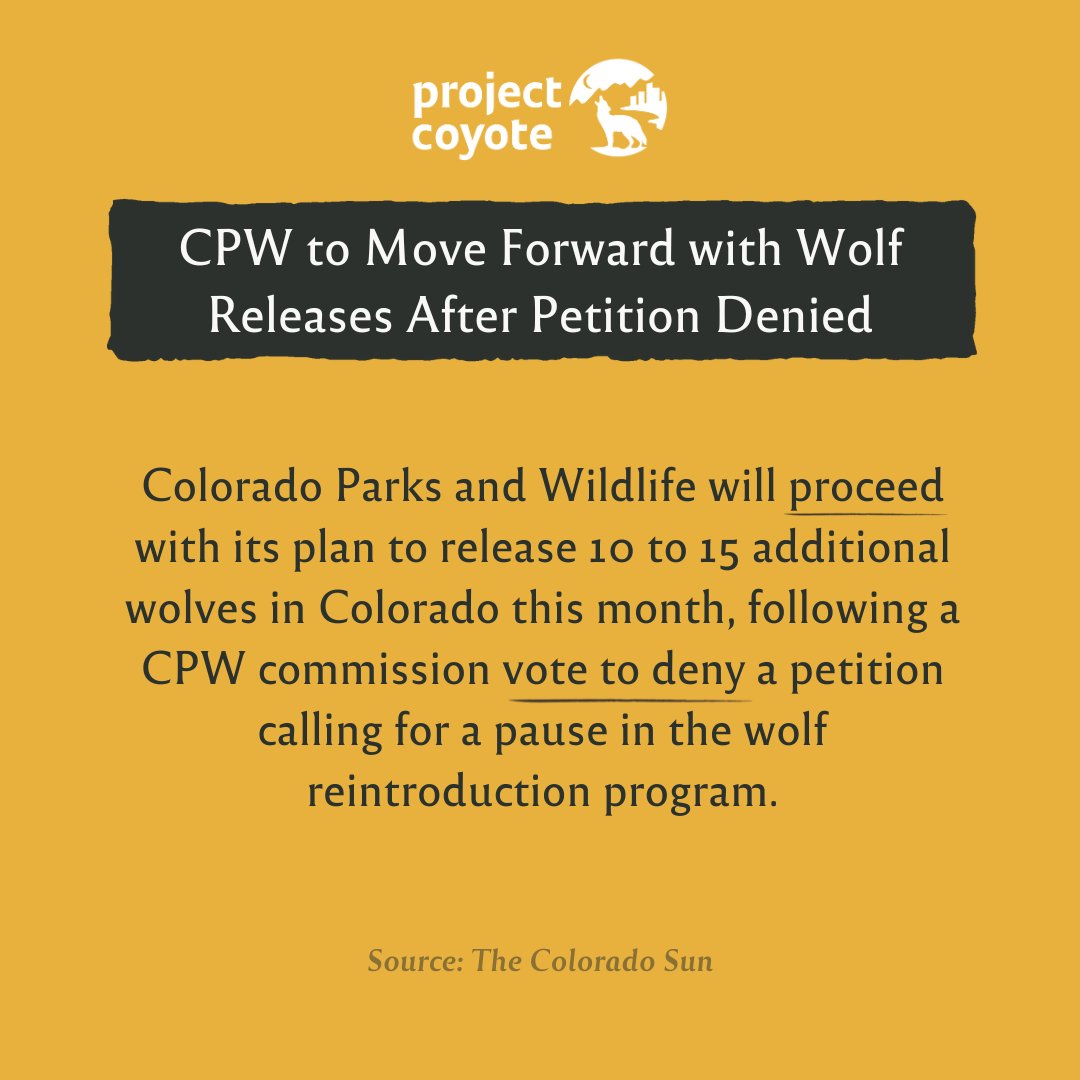 ProjectCoyote's tweet image. 🐺 Wolves in the News 🐺

Be sure to follow our partners @teamwolf_org and @wildlifeforall to raise your voice for wolves.

#WolfWednesday #ProtectAmericasWolves #Wolves

📷 USFWS, Lori Iverson